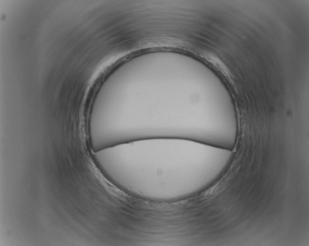 X0000066541072200603311839