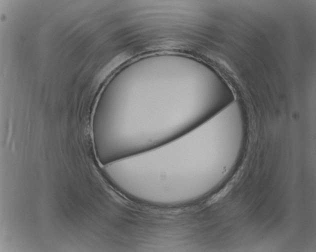 X0000066541073200603311839