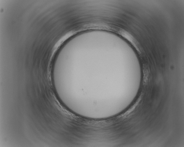 X0000066541074200603311839