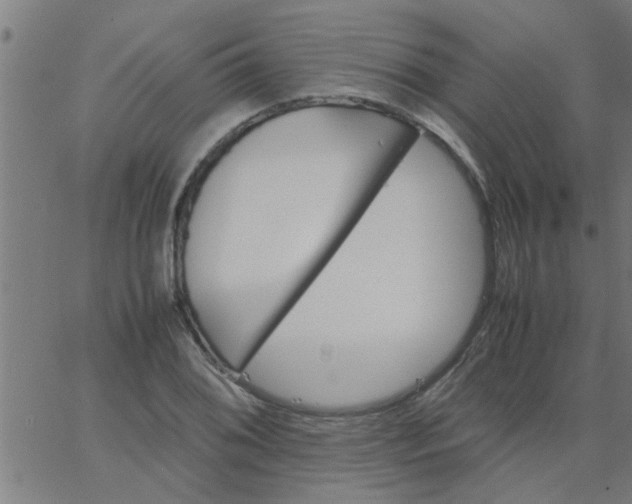 X0000066541076200603311839