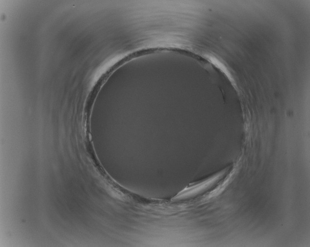 X0000066541077200603311839