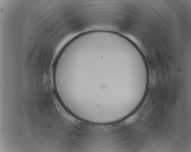 X0000066541078200603311839