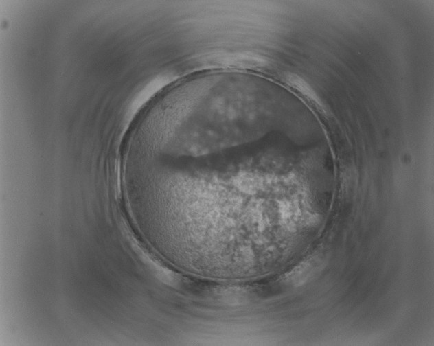 X0000066541079200603311839