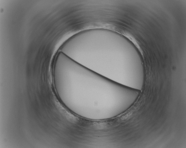 X0000066541080200603311839