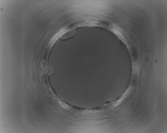 X0000066541081200603311839