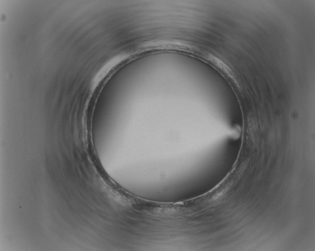 X0000066541082200603311839