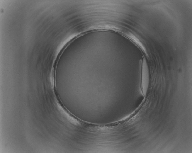 X0000066541084200603311839