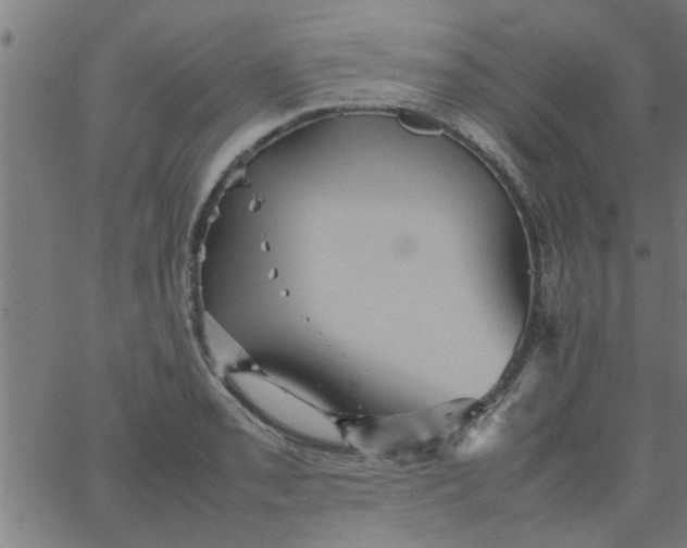 X0000066541085200603311839