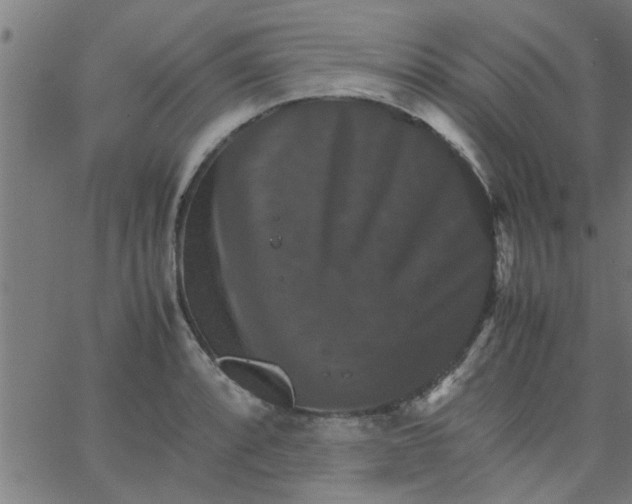 X0000066541088200603311839