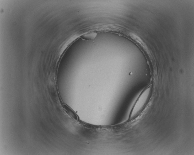 X0000066541089200603311839