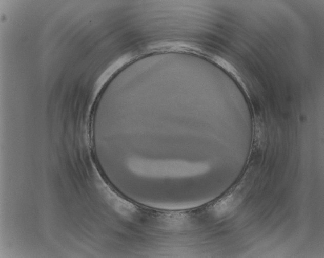 X0000066541090200603311839