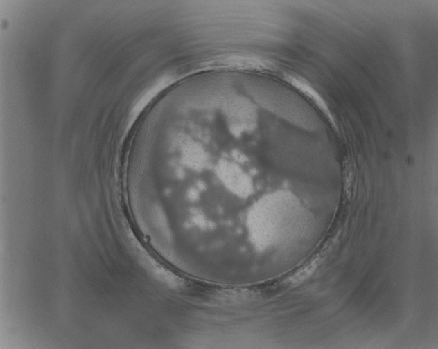 X0000066541091200603311839