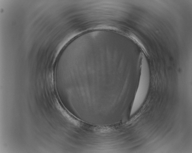 X0000066541092200603311839