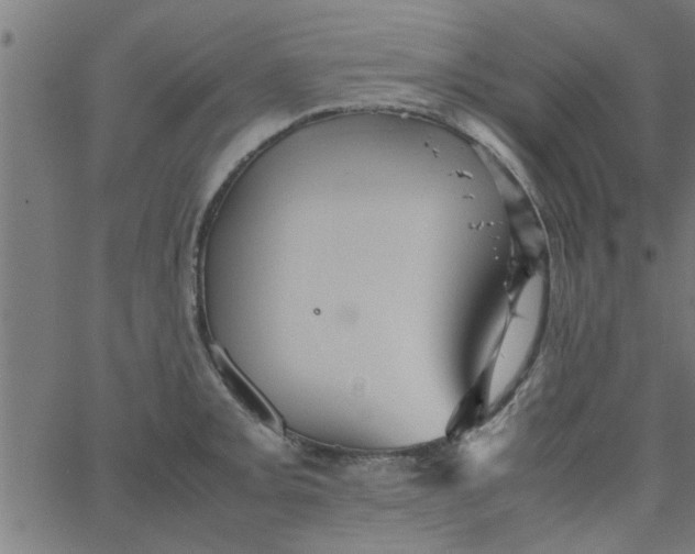 X0000066541093200603311839