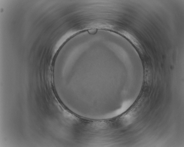 X0000066541094200603311839