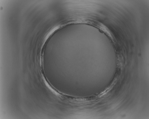 X0000066541095200603311839