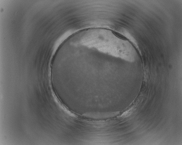 X0000066541096200603311839