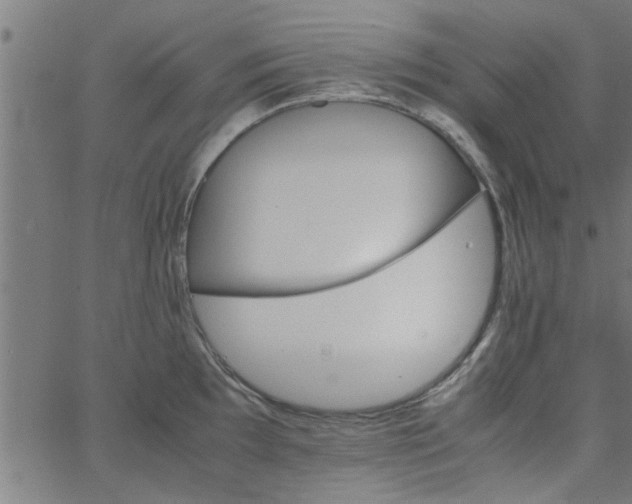 X0000066541097200603311839