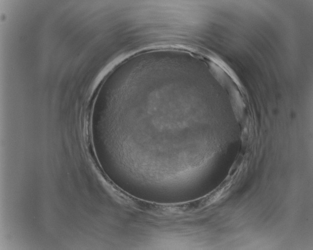 X0000066541101200603311839