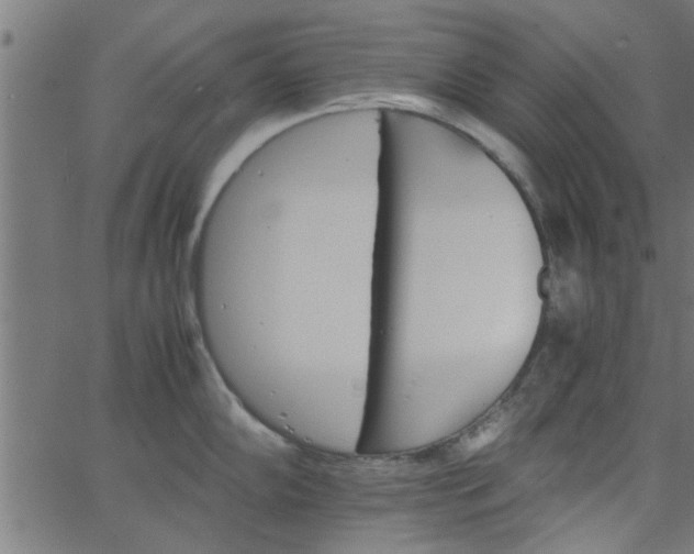 X0000066541102200603311839