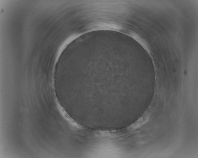 X0000066541104200603311839