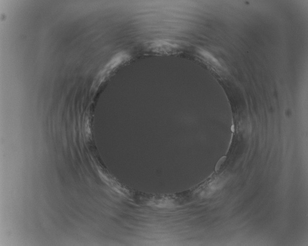 X0000066541106200603311838