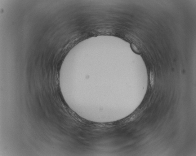 X0000066541107200603311838