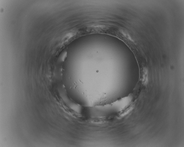 X0000066541109200603311838