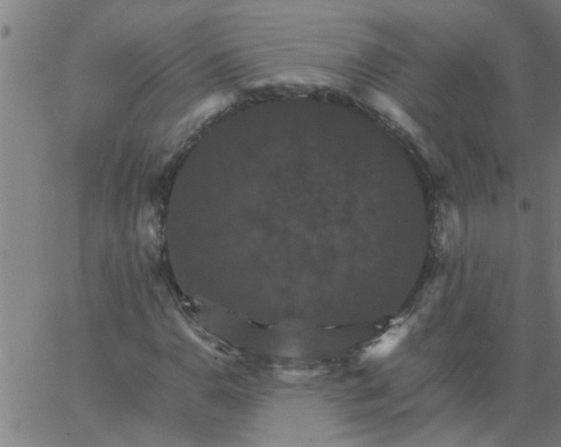 X0000066541110200603311838