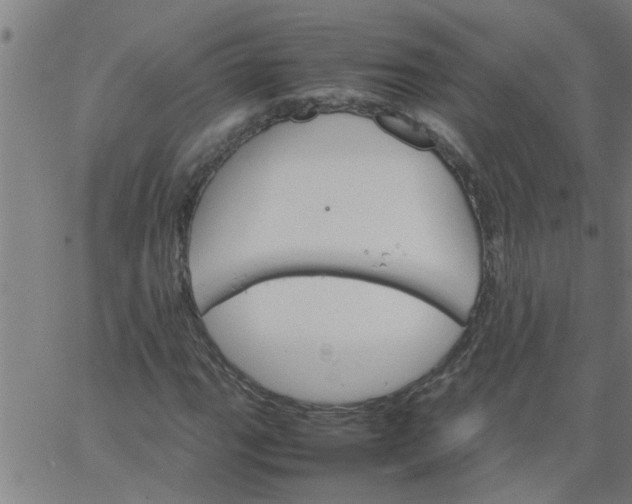 X0000066541111200603311838