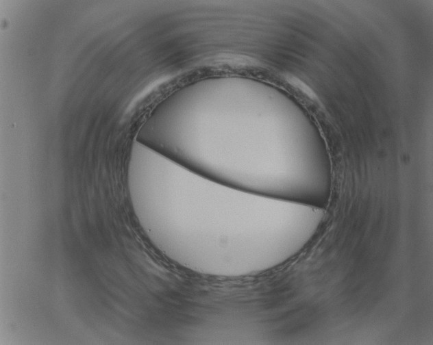 X0000066541112200603311838