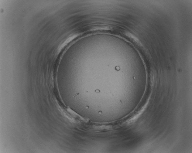 X0000066541113200603311838