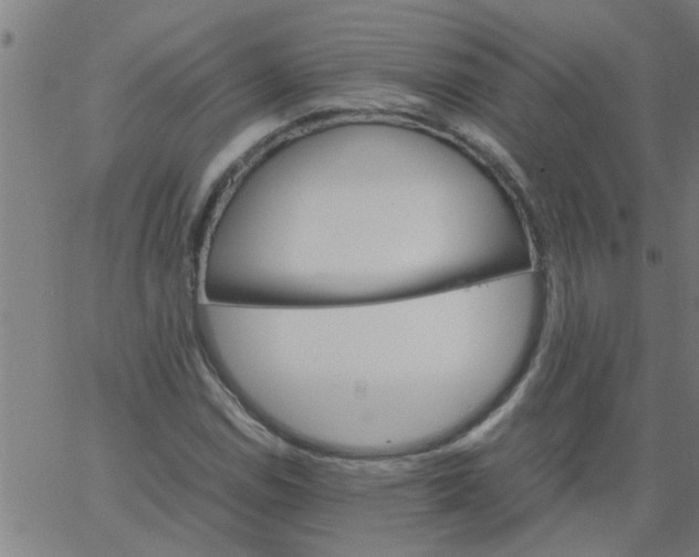 X0000066541114200603311838