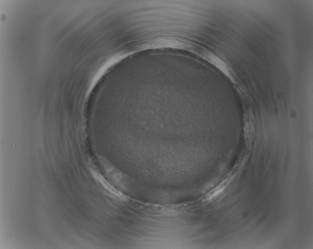 X0000066541116200603311838