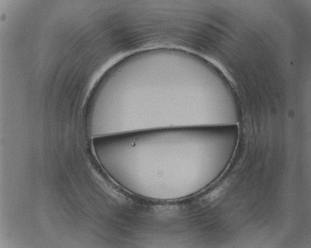 X0000066541118200603311838