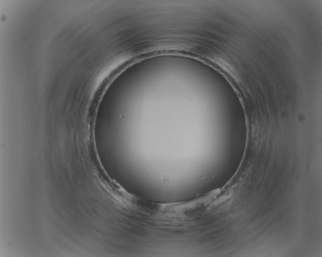 X0000066541119200603311838