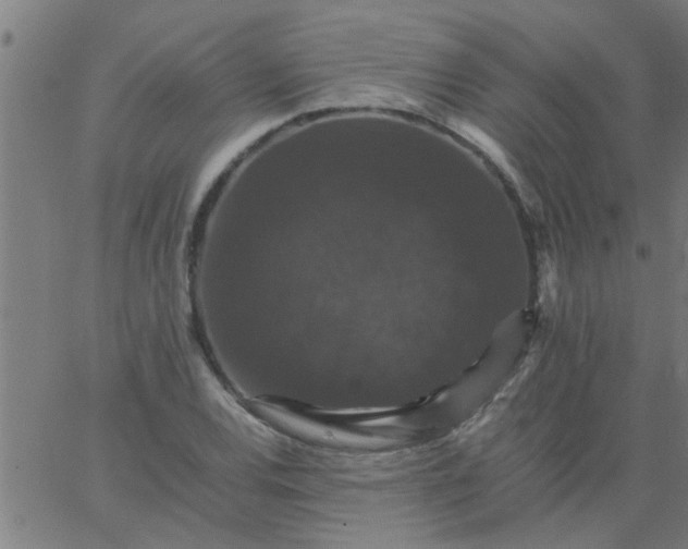 X0000066541120200603311838