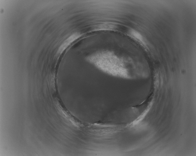 X0000066541121200603311838