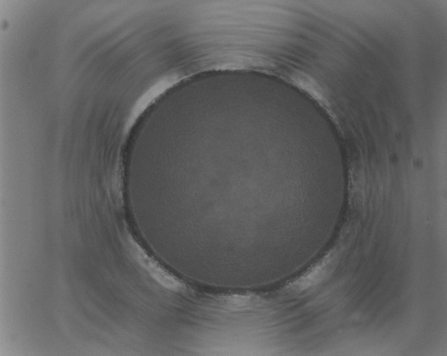 X0000066541122200603311838