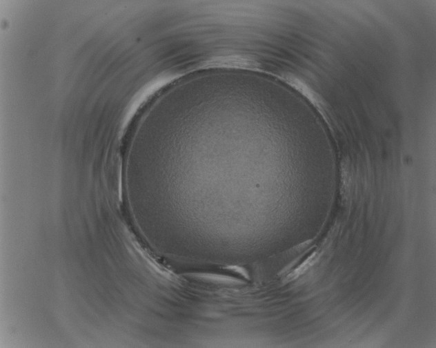 X0000066541123200603311838