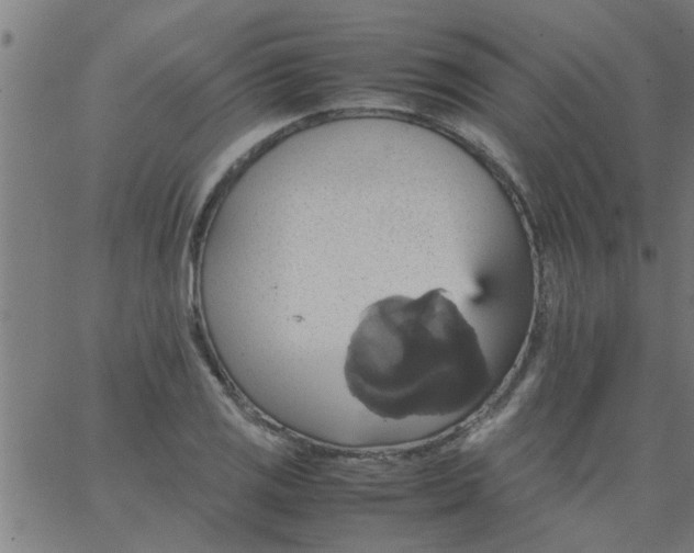 X0000066541125200603311838