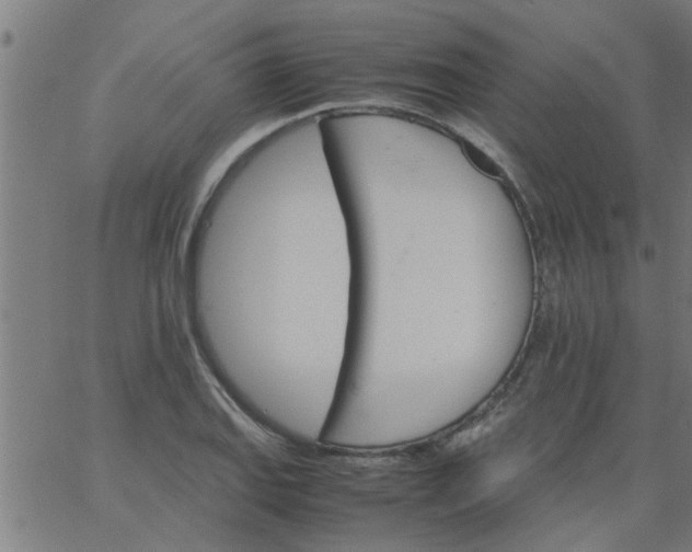 X0000066541127200603311838