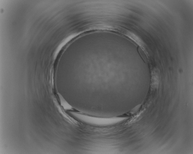 X0000066541128200603311838