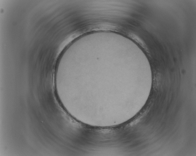 X0000066541130200603311838