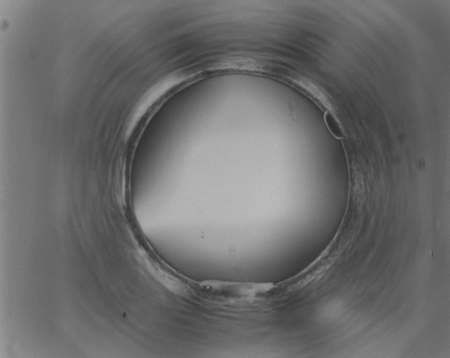 X0000066541131200603311838