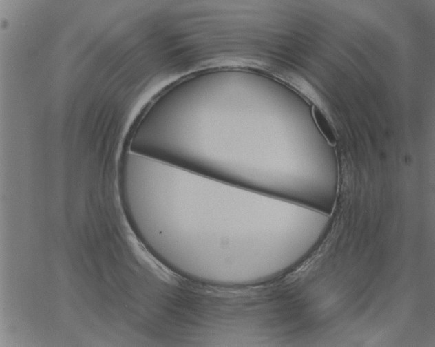 X0000066541132200603311838