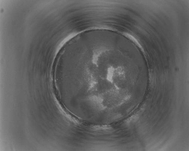 X0000066541133200603311838