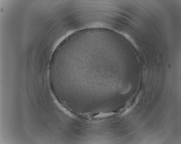 X0000066541134200603311838