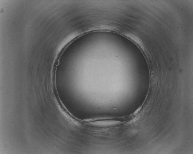 X0000066541135200603311838