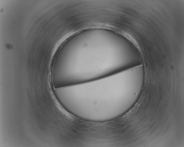 X0000066541136200603311838